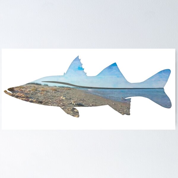 Catching Snook from the Beach Poster