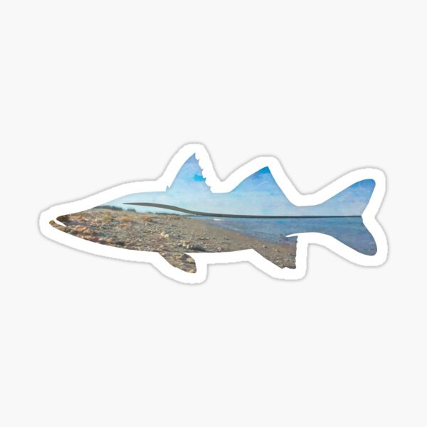 Catching Snook from the Beach Sticker