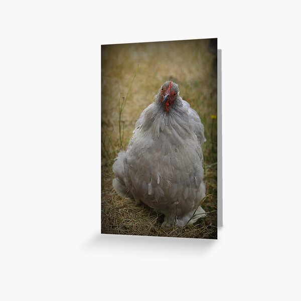 Cutie ~ Greeting Card
