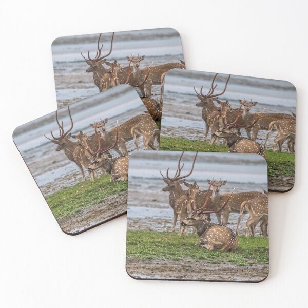 Item preview, Deer bunch - Wild Life designed and sold by chamsham2020.