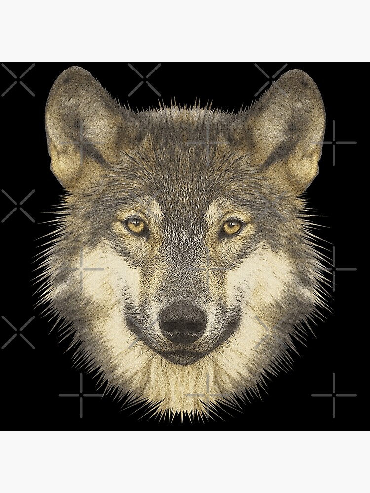 Poster avec l'œuvre « Tête de loup, dessins d'animaux populaires, chemises  de fans de la nature » de l'artiste Kirei-Lily