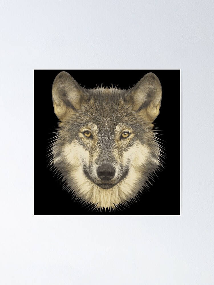 Poster avec l'œuvre « Tête de loup, dessins d'animaux populaires, chemises  de fans de la nature » de l'artiste Kirei-Lily