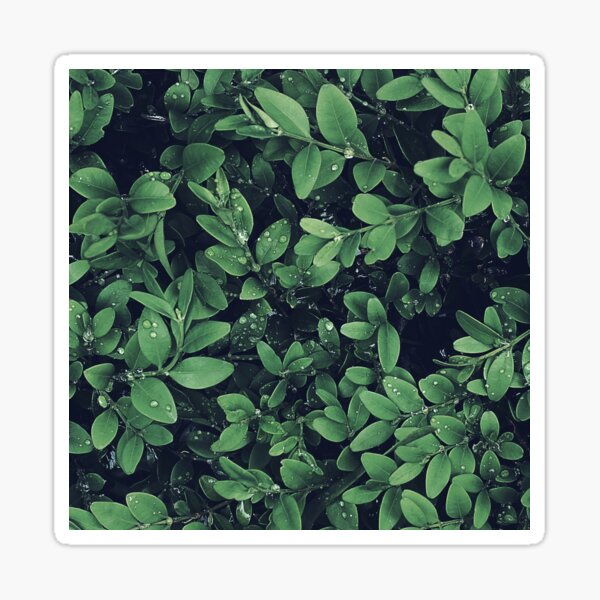 Item preview, Green leaf  designed and sold by MyDogiestore.