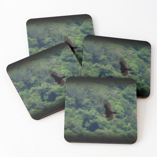 Item preview, Soaring In Flight designed and sold by Nathan Bargar.