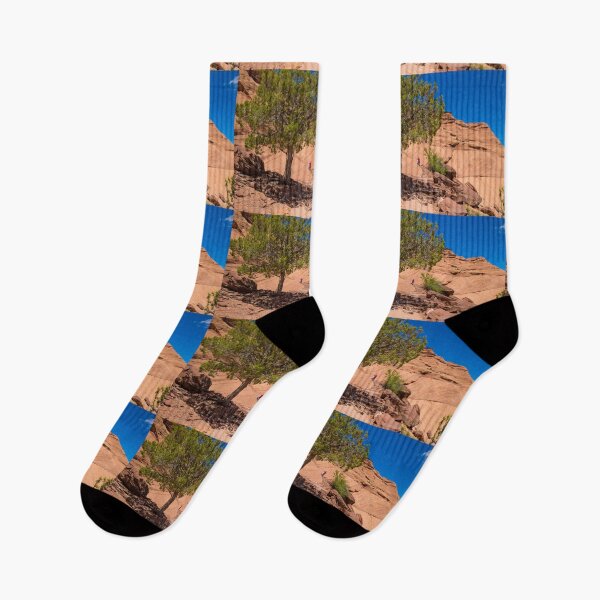 Item preview, USA. Arizona. Canyon de Chelly National Monument. Lonely Tree. designed and sold by vadim19.
