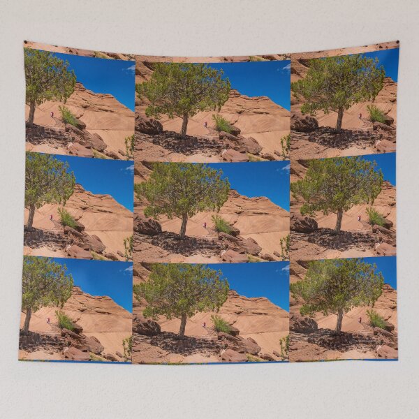 Item preview, USA. Arizona. Canyon de Chelly National Monument. Lonely Tree. designed and sold by vadim19.