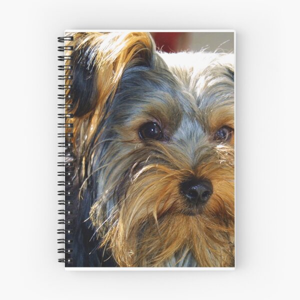 Item preview, I am no trouble...really designed and sold by Bob Martin.