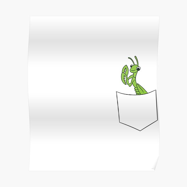 Praying Mantis In The Pocket Insect Praying Mantis Poster