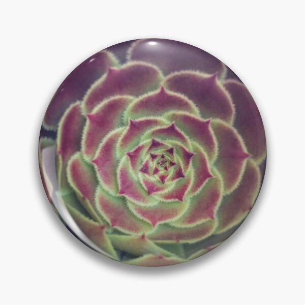 Item preview, Black Rose designed and sold by JHermanRussell.