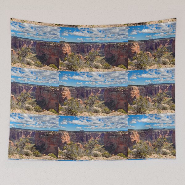 Item preview, USA. Arizona. Canyon de Chelly National Monument. View. designed and sold by vadim19.