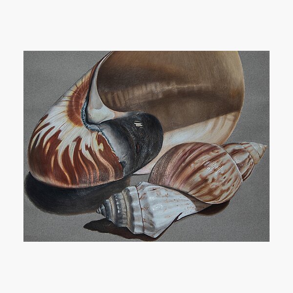 Item preview, Terracotta  designed and sold by ashley-russell.