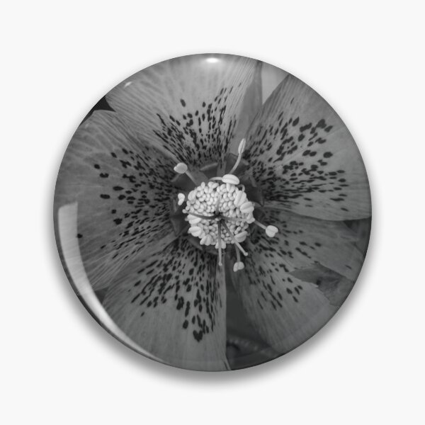 Item preview, Heavenly Hellebore - Floral Photography by Fluid Nature designed and sold by vmajzlik.