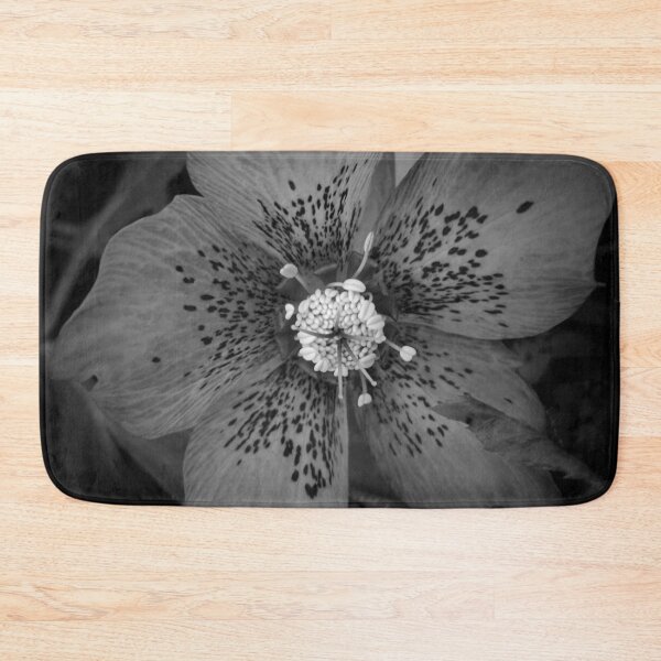 Item preview, Heavenly Hellebore - Floral Photography by Fluid Nature designed and sold by vmajzlik.