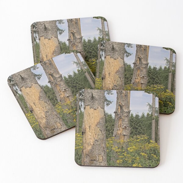 Item preview, Forest with wood ragwort in the Ardennes designed and sold by xophotography.