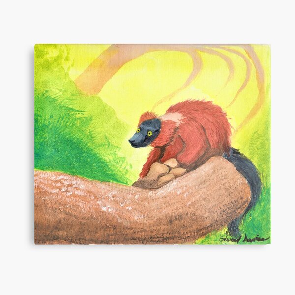 Red-Ruffed Lemur Metal Print