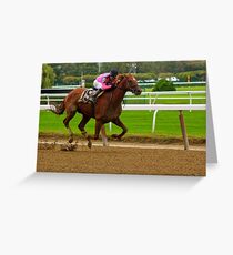 Race Horse Belmont Park, New York Greeting Card