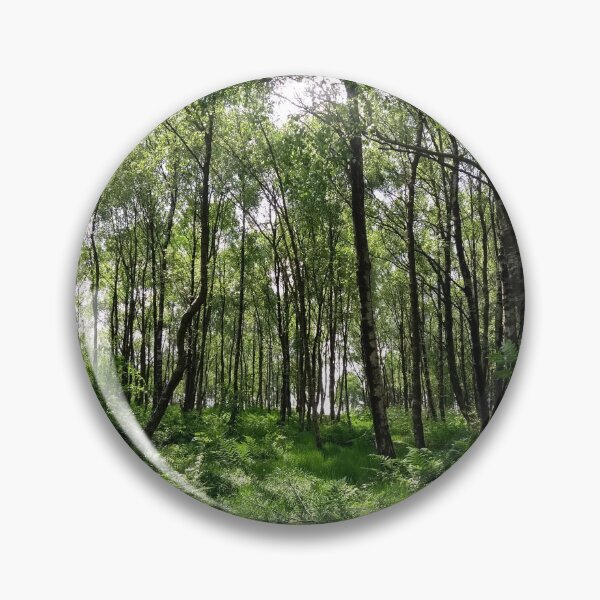 Artikelvorschau, Ein Spaziergang im Wald entworfen und verkauft von LewisCMullen.