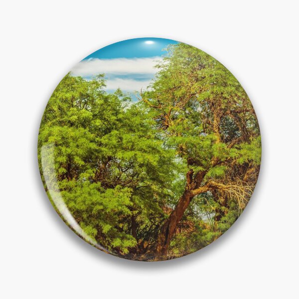 Item preview, Carob Tree, Talampaya National Park, La Rioja, Argentina designed and sold by DFLC Prints.