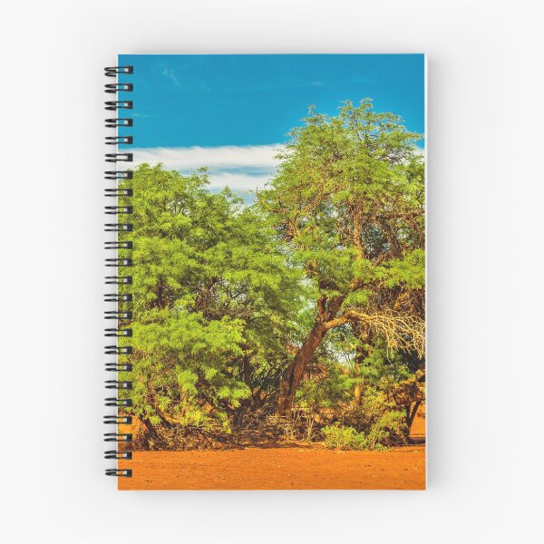 Item preview, Carob Tree, Talampaya National Park, La Rioja, Argentina designed and sold by DFLC Prints.