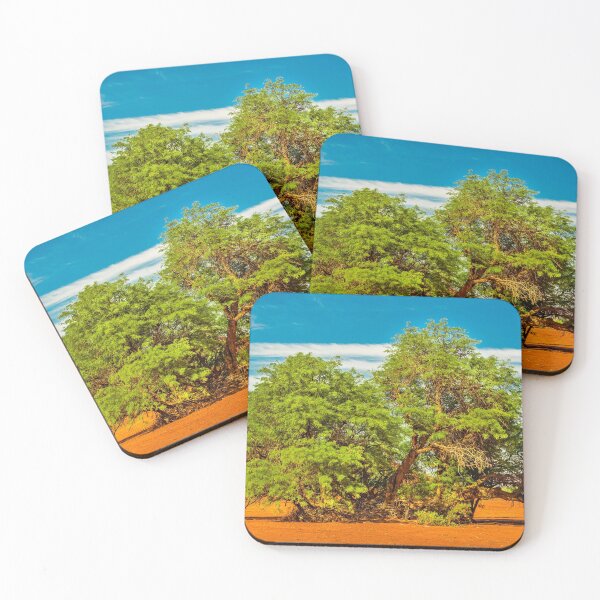 Item preview, Carob Tree, Talampaya National Park, La Rioja, Argentina designed and sold by DFLC Prints.