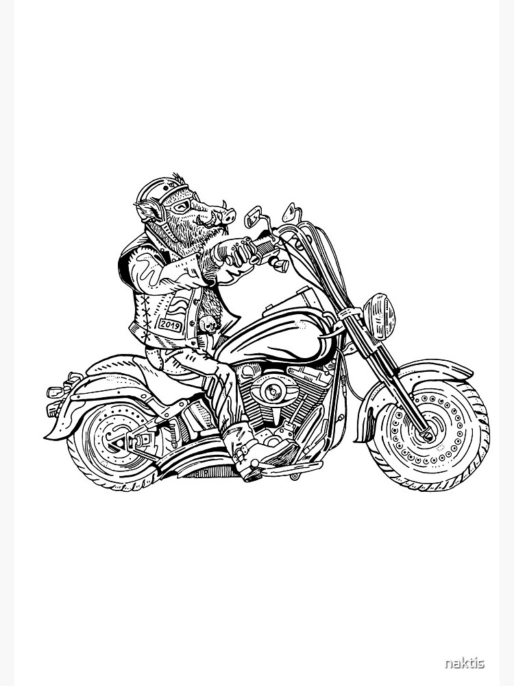 Boar on motorbike. by naktis