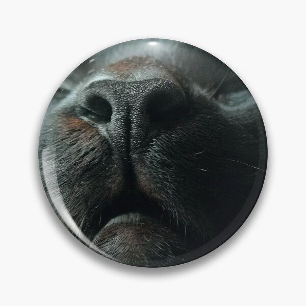 The Snoot Around Pin