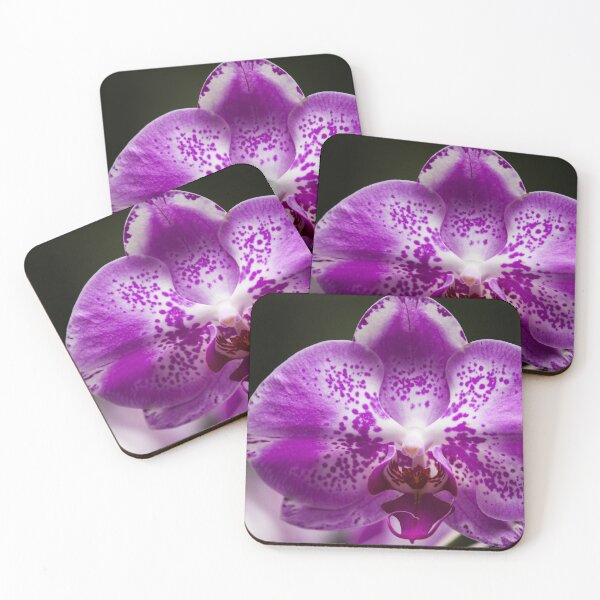 Item preview, Beautiful Orchid designed and sold by robspencer.