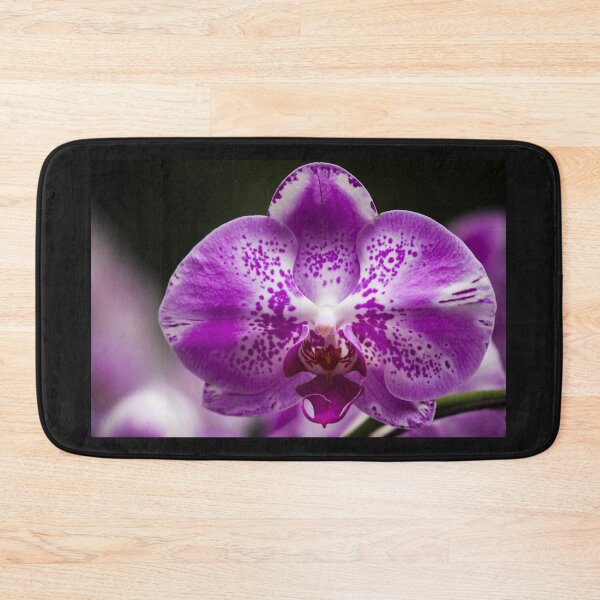 Item preview, Beautiful Orchid designed and sold by robspencer.