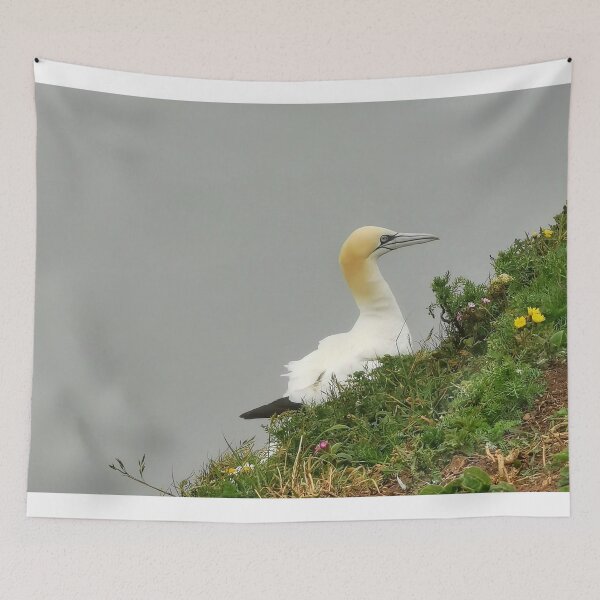 Item preview, Gannet designed and sold by AmyHuntPhotos.
