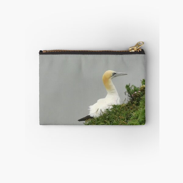 Item preview, Gannet designed and sold by AmyHuntPhotos.
