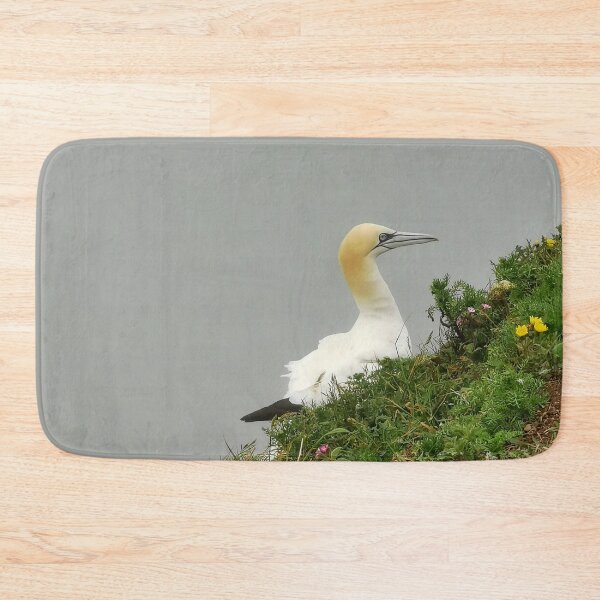 Item preview, Gannet designed and sold by AmyHuntPhotos.