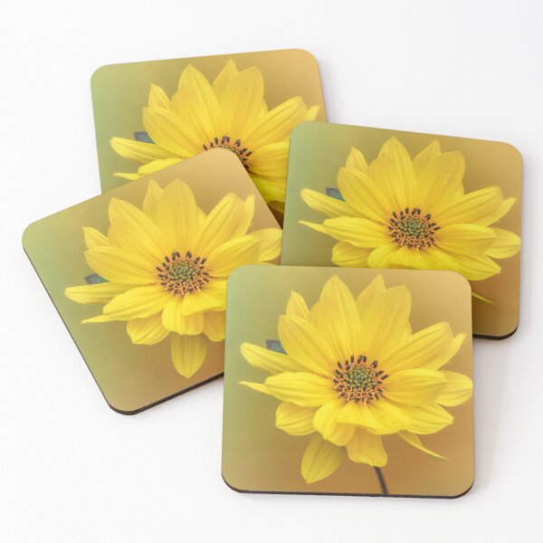 Item preview, Coreopsis. designed and sold by John Ray.