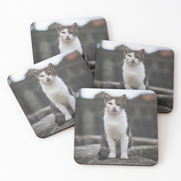 Item preview, Stray cat of Kotor designed and sold by Marinuzzi.