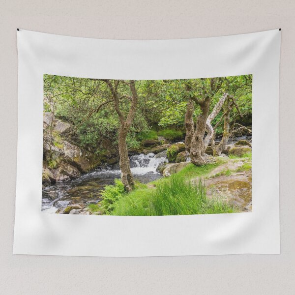 Item preview, Ceunant Mawr, Llanberis water fall, North Wales designed and sold by yackers1.