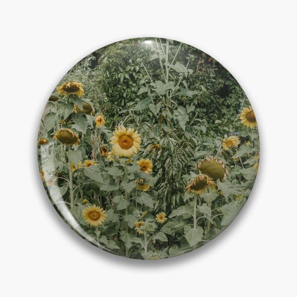 Item preview, Sunflowers designed and sold by Simply Ellie Anne Photography.
