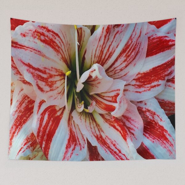 Item preview, Red and white no blue designed and sold by ralphsamo.