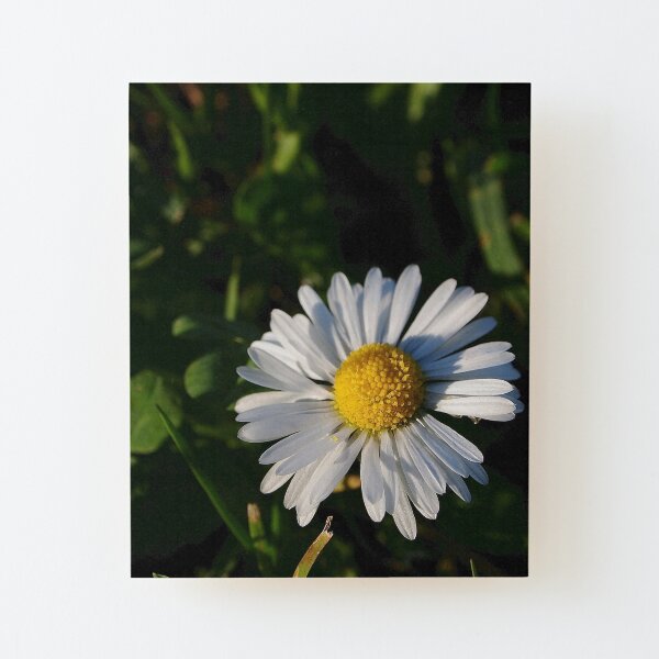 Wood Mounted Print