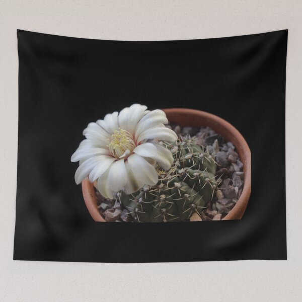 Item preview, Cactus bloom designed and sold by AnthonyThomas.