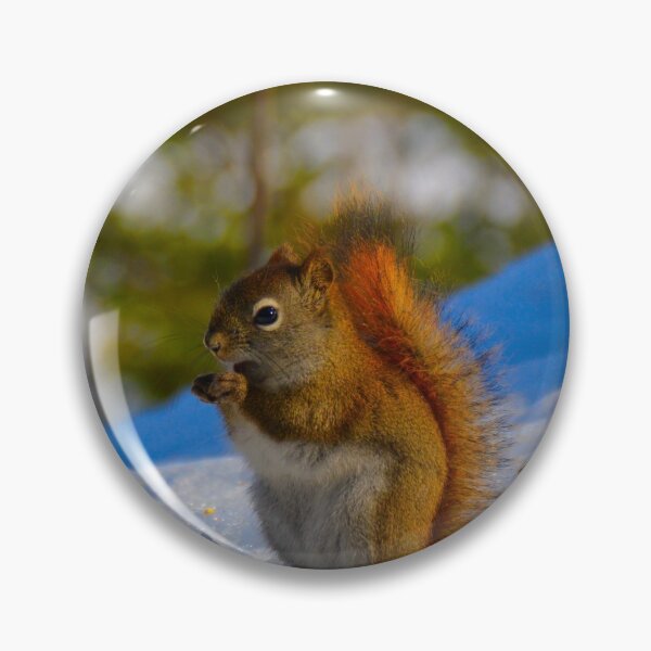 Item preview, Squirrel munching designed and sold by Richard W J Conyard.