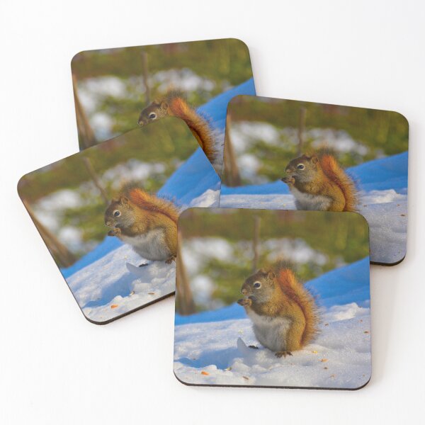 Item preview, Squirrel munching designed and sold by Richard W J Conyard.