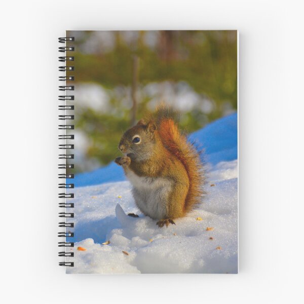 Item preview, Squirrel munching designed and sold by Richard W J Conyard.