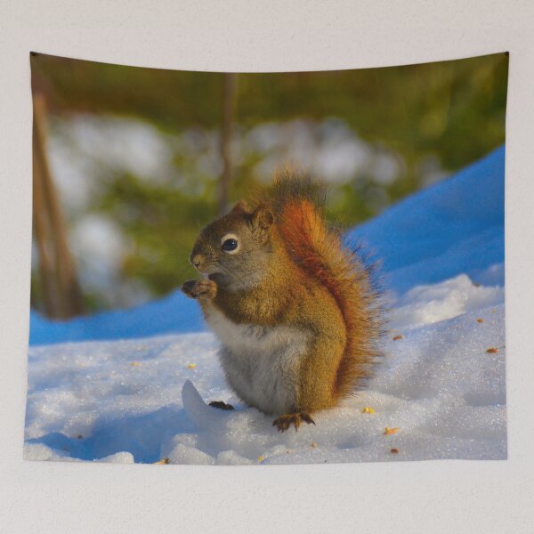 Item preview, Squirrel munching designed and sold by Richard W J Conyard.