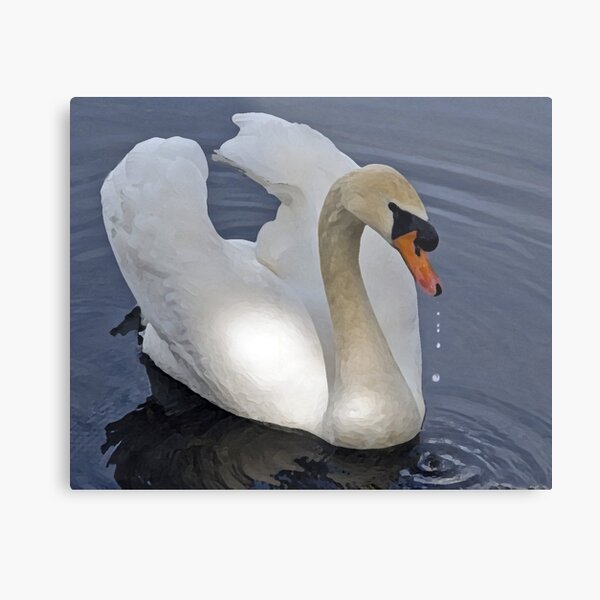 Serenity Metal Print