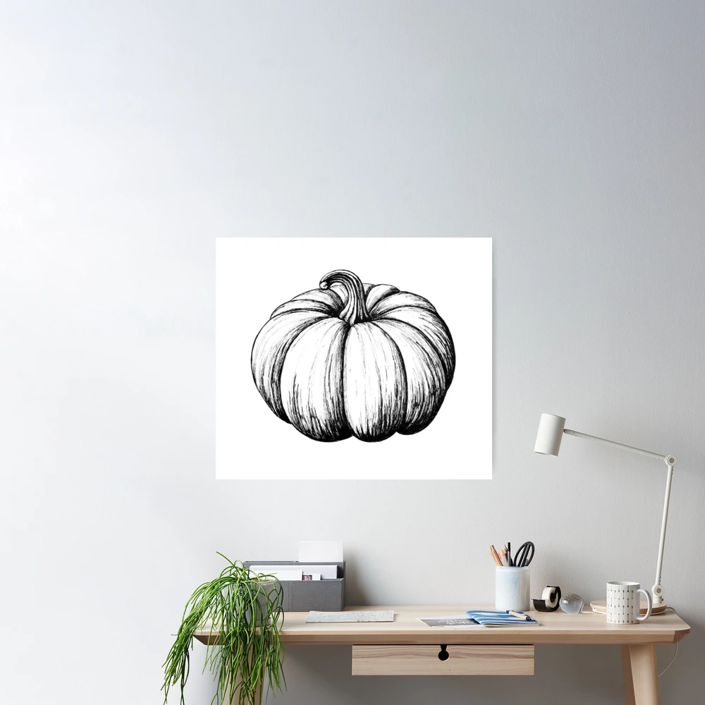 Coloring page. General view of pumpkin plant with ripe fruit and leaves  isolated on white background Stock Vector | Adobe Stock