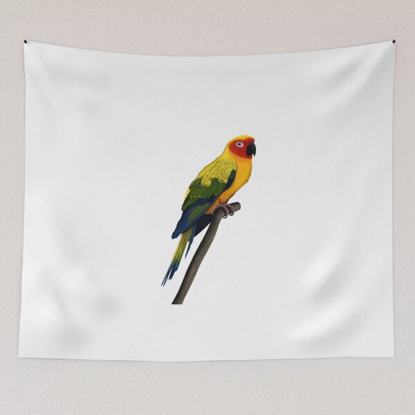 Item preview, Sun Parakeet Parrot Bird Animal Drawing Illustration birdwatcher biologist designed and sold by jz-birds.