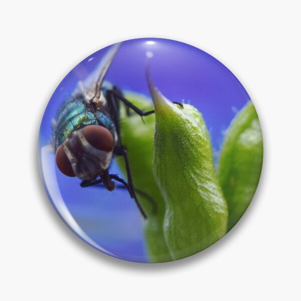 Item preview, Fly on Pod. designed and sold by CanadianWild418.