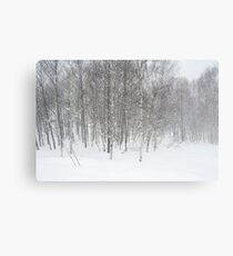 winter snowstorm Canvas Print