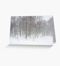 winter snowstorm Greeting Card