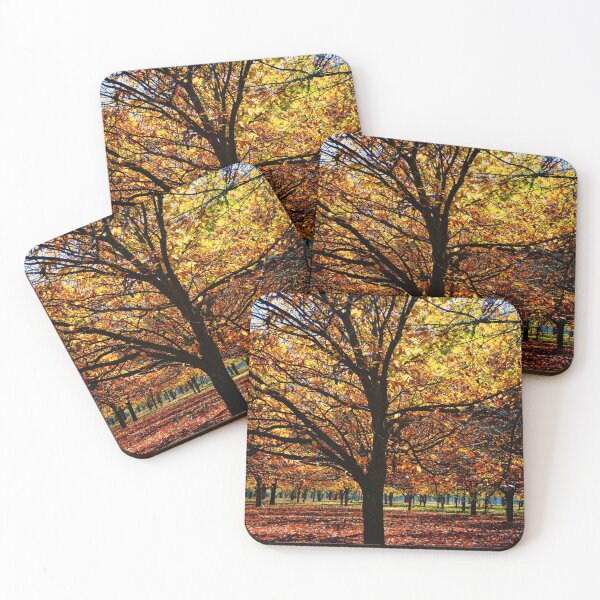 Item preview, The Chestnut Tree designed and sold by D-GaP.