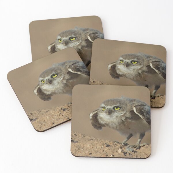 Item preview, Ready for Take Off designed and sold by Sue  Cullumber.